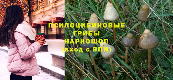 гидропоника Ладушкин