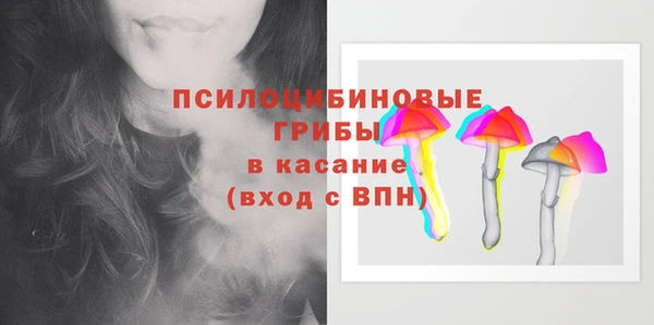 мдма Богородицк