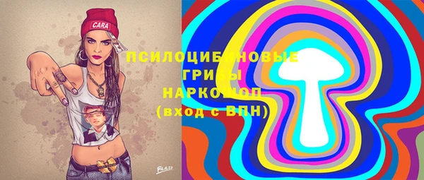 гидропоника Ладушкин
