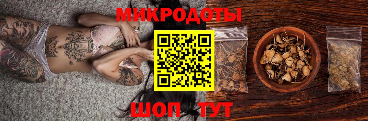 Сунжа  Псилоцибиновые грибы Psilocybe  Вход с VPN  Псилоцибиновые грибы Psilocybine cubensis 