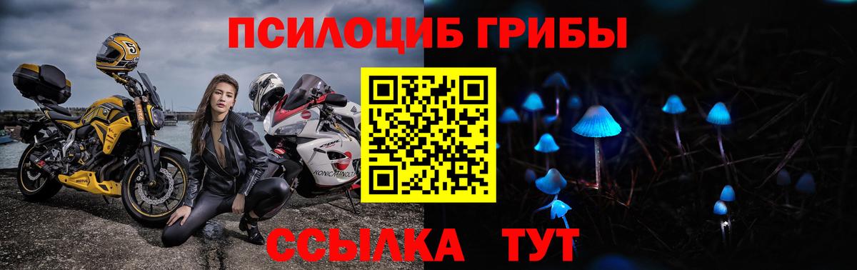 Сунжа  Галлюциногенные грибы MAGIC MUSHROOMS  Галлюциногенные грибы мицелий  Вход с VPN 