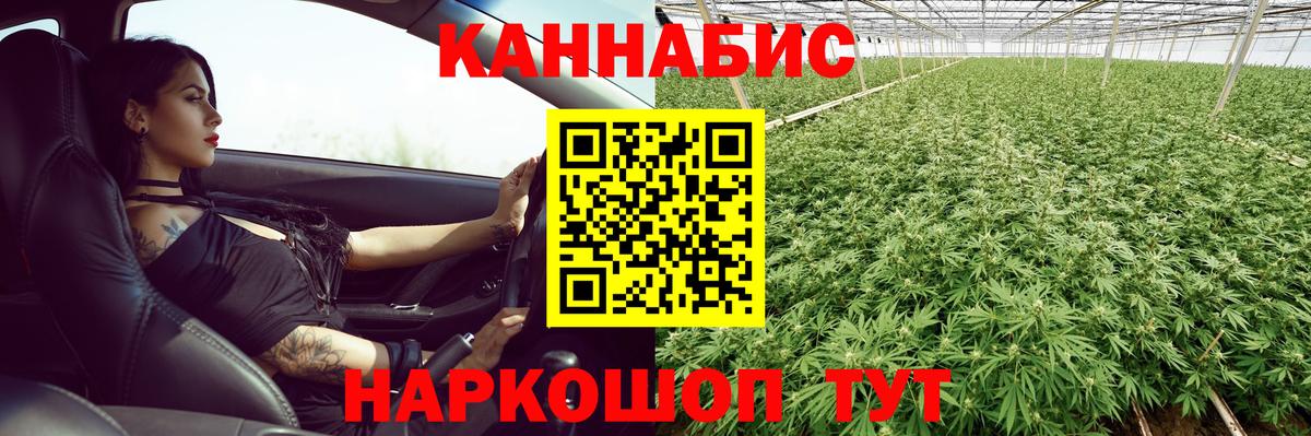 Марихуана гибрид  Каннабис семена  Вход с VPN  Сунжа  Бошки марихуана марихуана  Канабис SATIVA & INDICA 